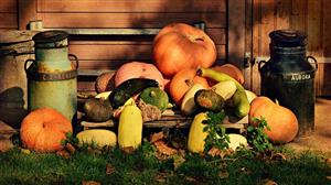 Mspy Auf überwachendem Handy Installieren