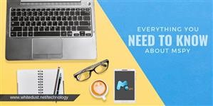 Mspy Open Source Alternative