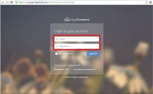 Download Mspy for Pc